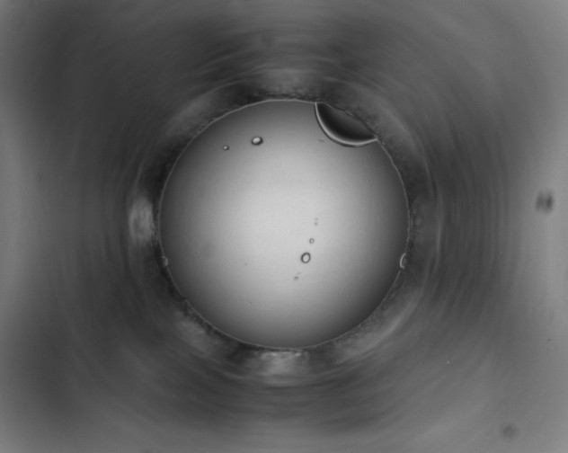 X0000103330089200809051220