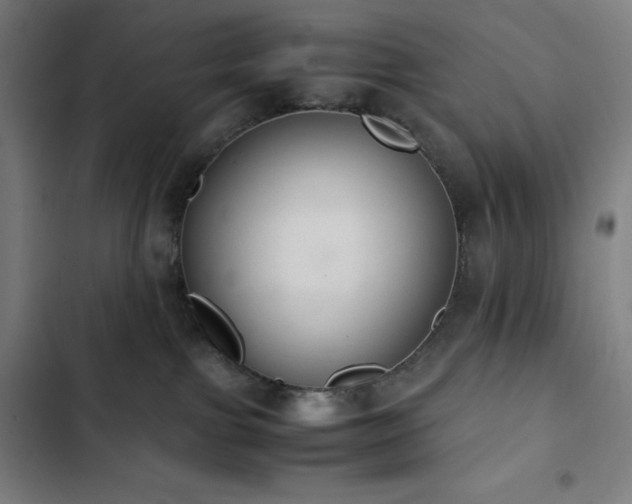 X0000103330091200809051220