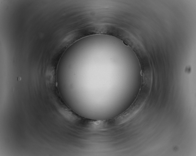 X0000103330092200809051220