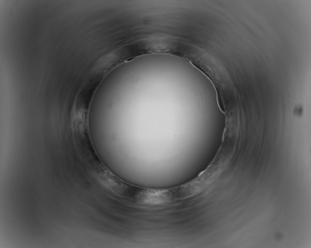 X0000103330093200809051220