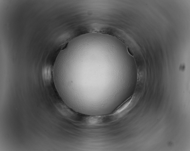 X0000103330094200809051220