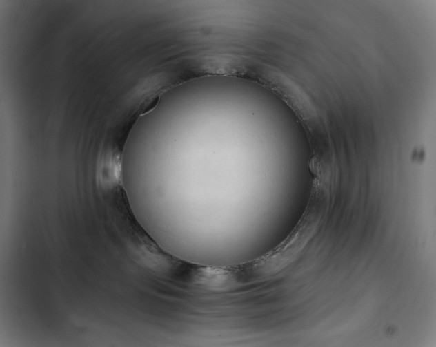 X0000103330095200809051220