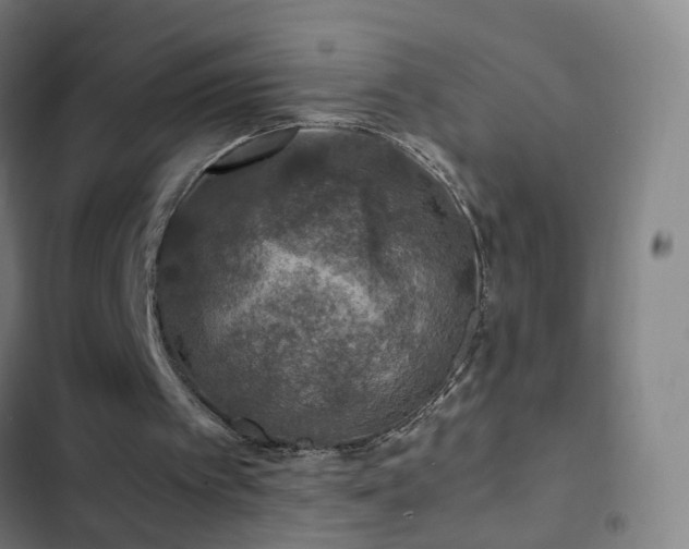 X0000103330097200809051220