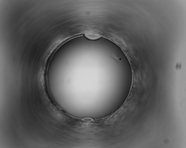 X0000103330098200809051220