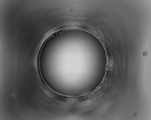 X0000103330099200809051220