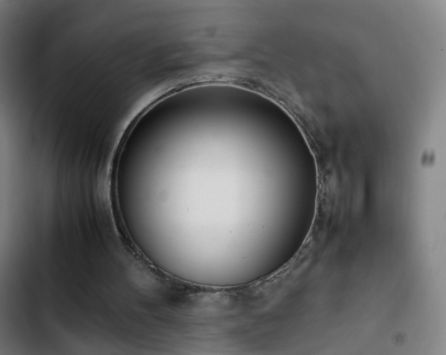 X0000103330100200809051220