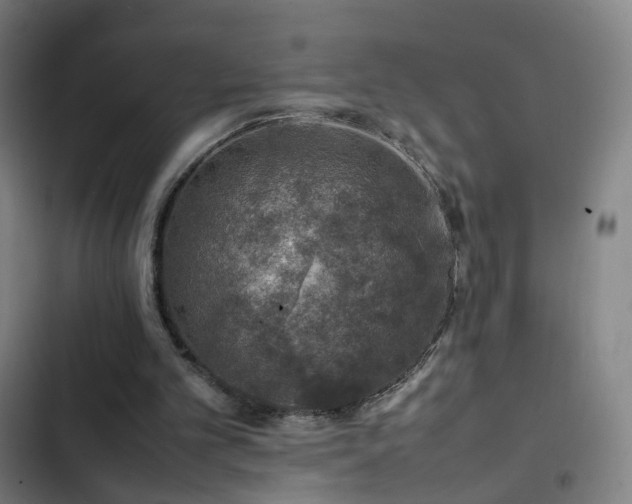 X0000103330101200809051220