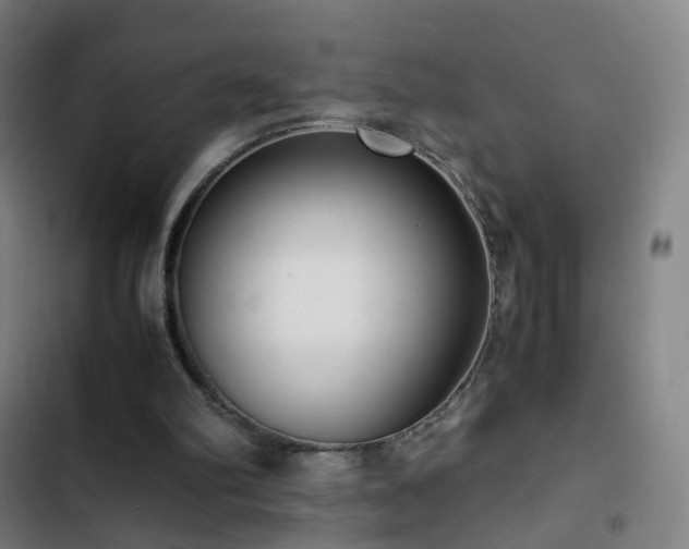 X0000103330102200809051220