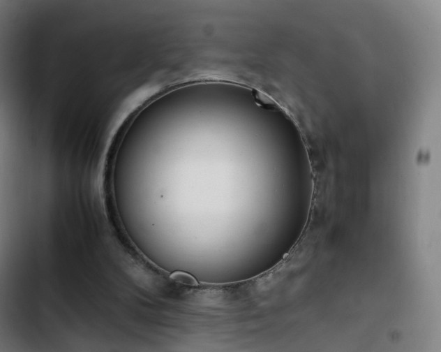 X0000103330104200809051220