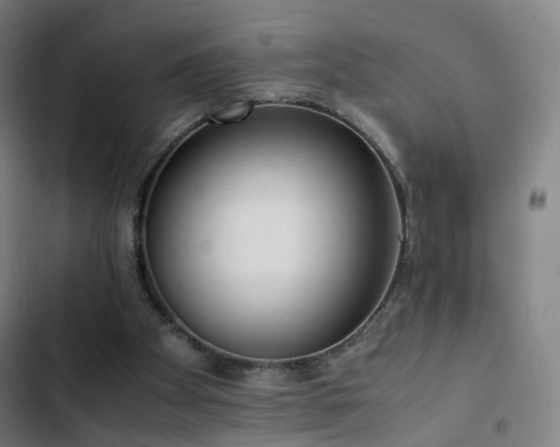 X0000103330105200809051220