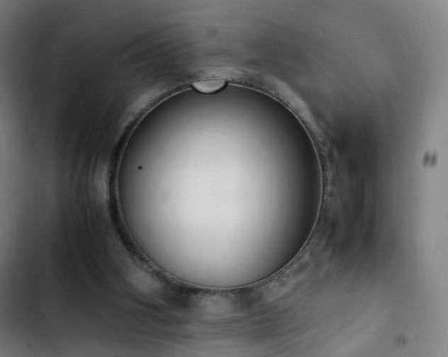 X0000103330106200809051219