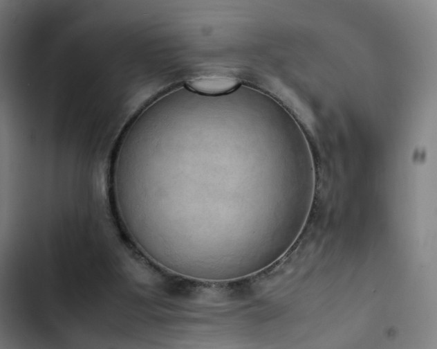 X0000103330107200809051219