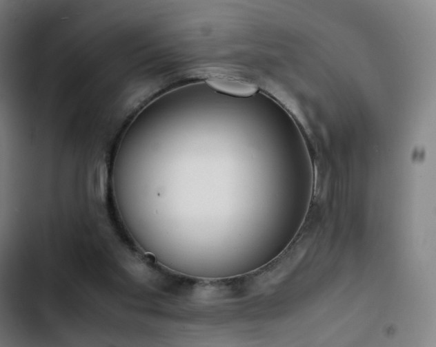 X0000103330109200809051219