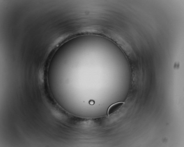 X0000103330112200809051219