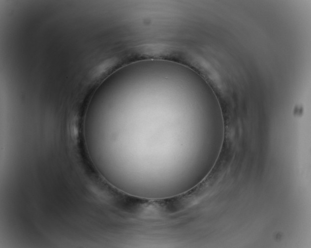 X0000103330115200809051219