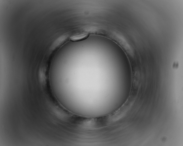 X0000103330116200809051219