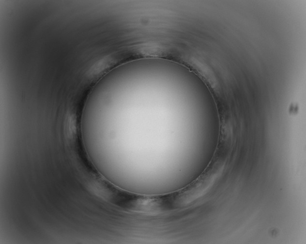 X0000103330117200809051219