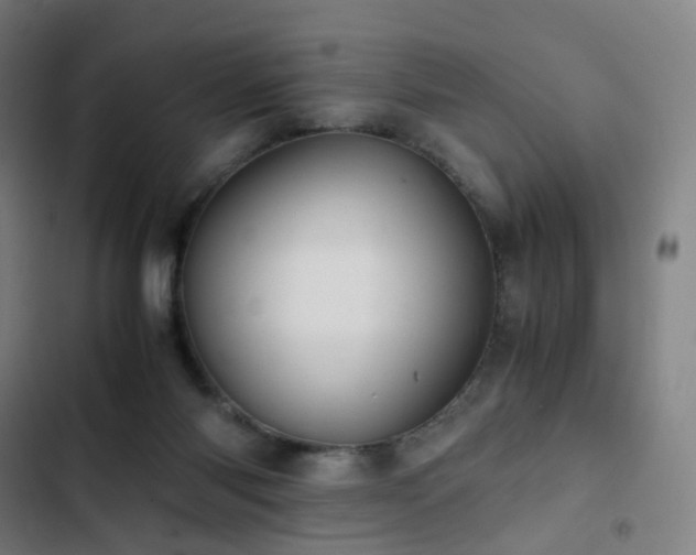 X0000103330118200809051219