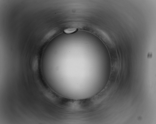 X0000103330120200809051219