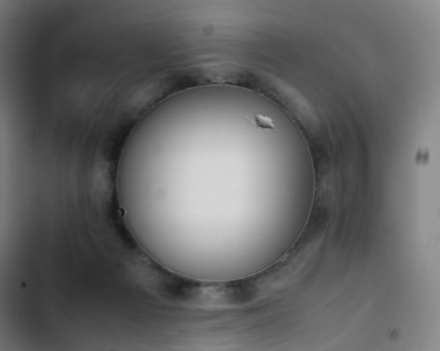 X0000103330121200809051219