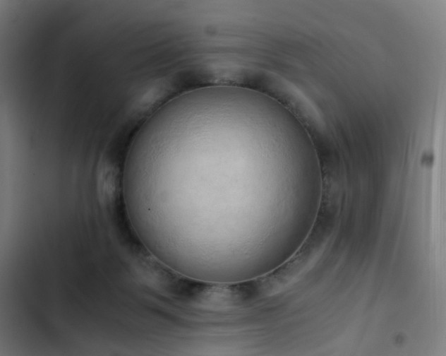 X0000103330123200809051219