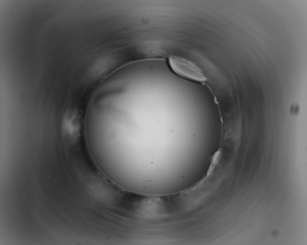 X0000103330124200809051219