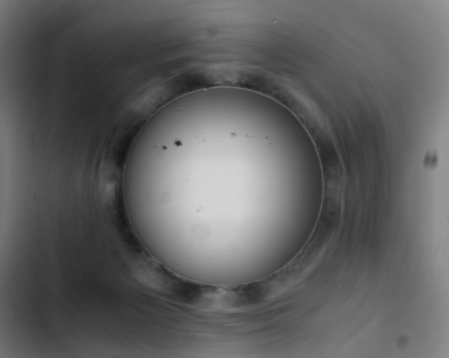 X0000103330125200809051219