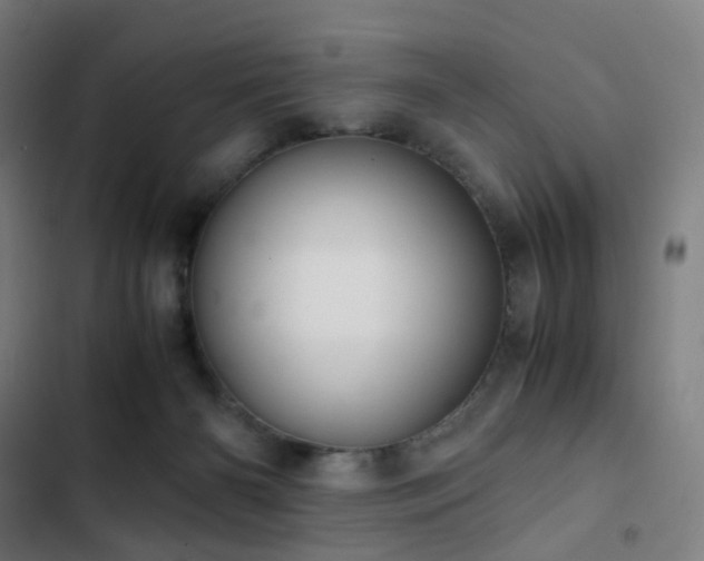 X0000103330126200809051219