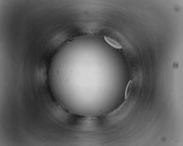 X0000103330128200809051219