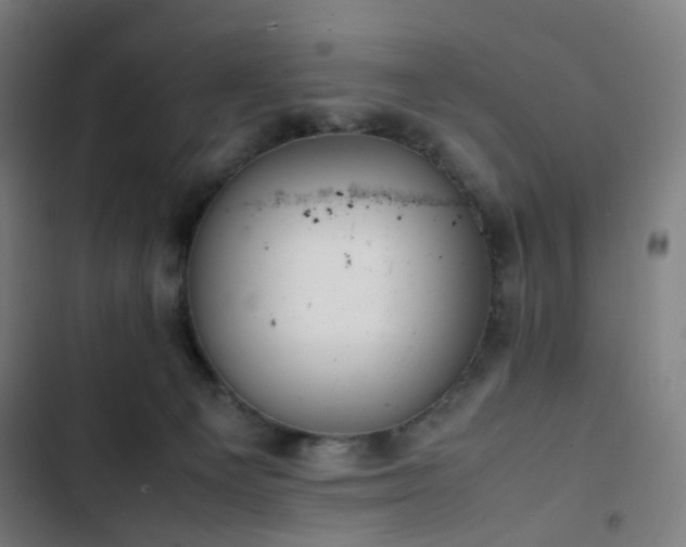 X0000103330129200809051219