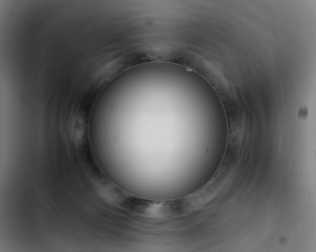 X0000103330130200809051219