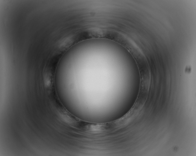 X0000103330134200809051219