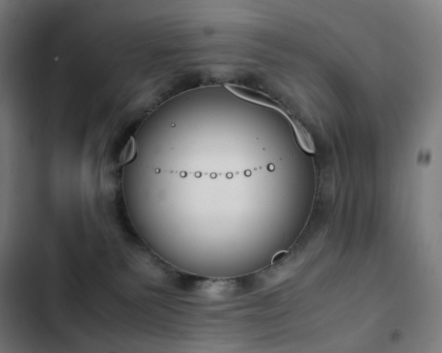 X0000103330135200809051219