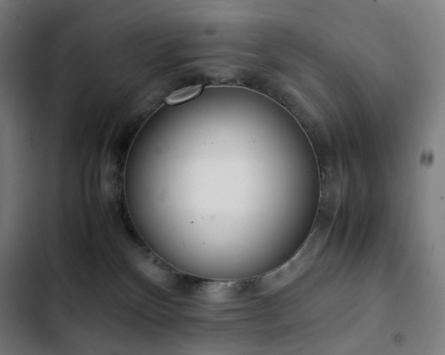 X0000103330136200809051219