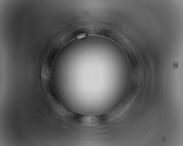 X0000103330137200809051219