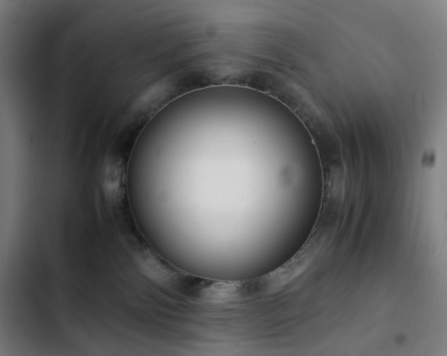 X0000103330138200809051219