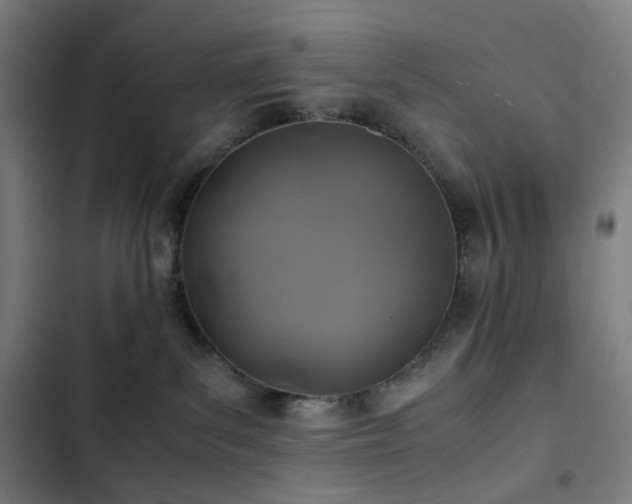 X0000103330139200809051219