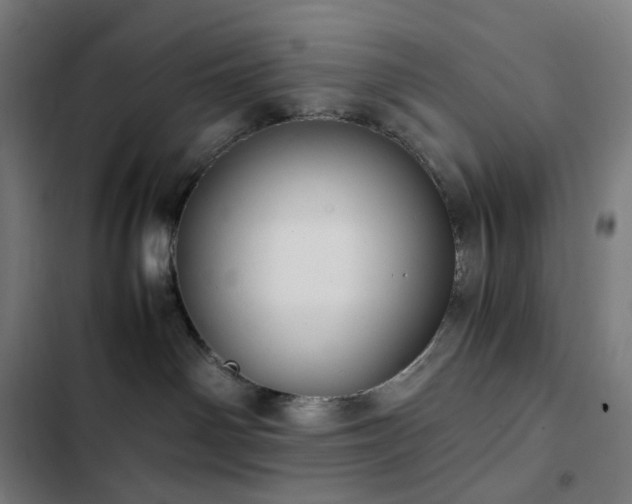 X0000103330142200809051219