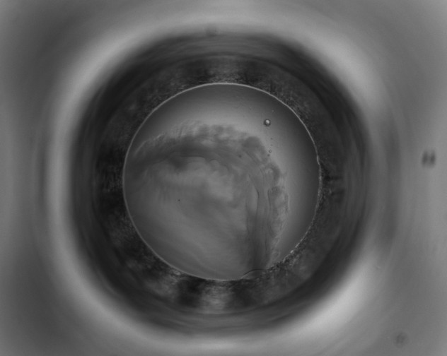 X0000103330143200809051219