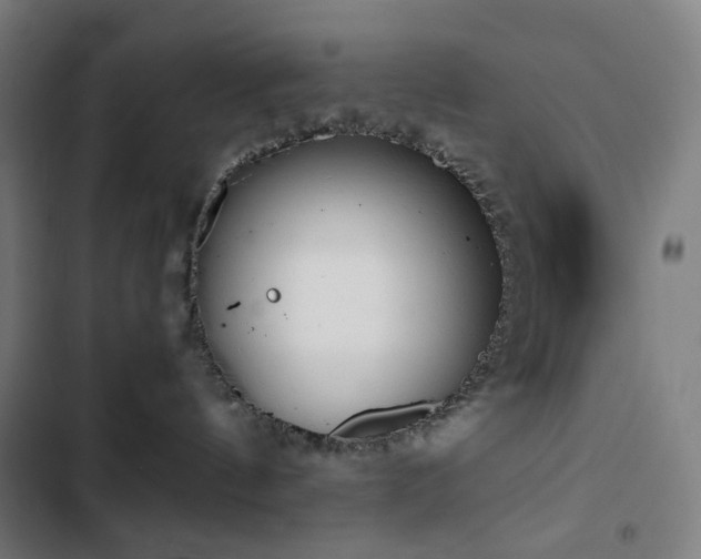 X0000103330144200809051219