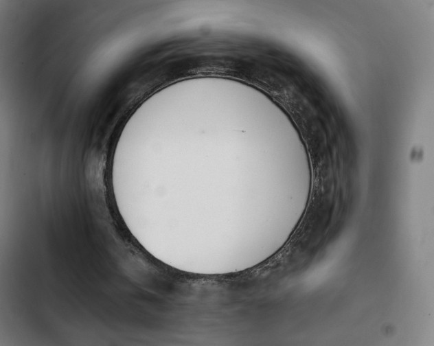 X0000103330146200809051218