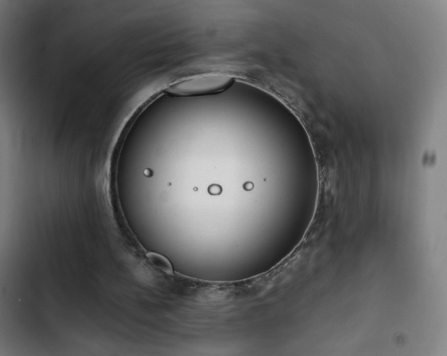 X0000103330148200809051218