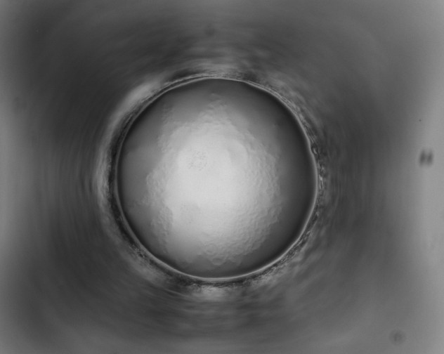 X0000103330149200809051218