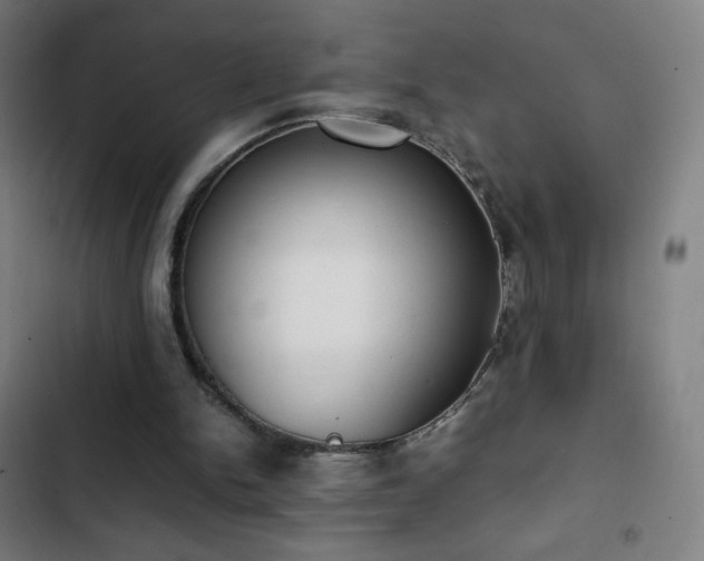 X0000103330150200809051218