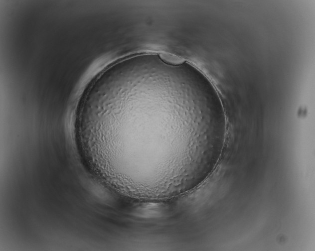 X0000103330151200809051218