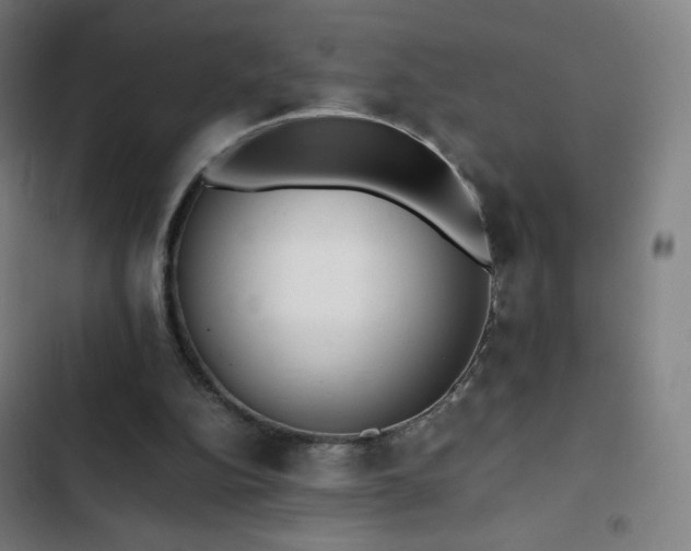 X0000103330152200809051218