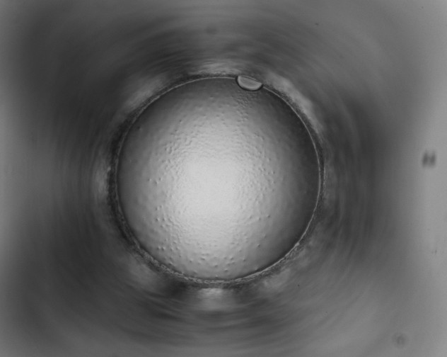 X0000103330153200809051218