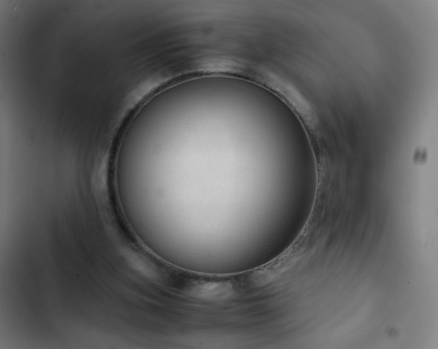 X0000103330155200809051218