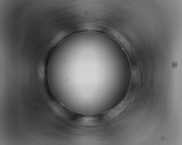 X0000103330158200809051218