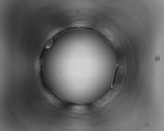 X0000103330160200809051218